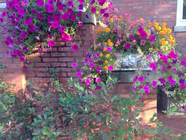 Summer (on top) moving to fall (bottom) all in one frame!