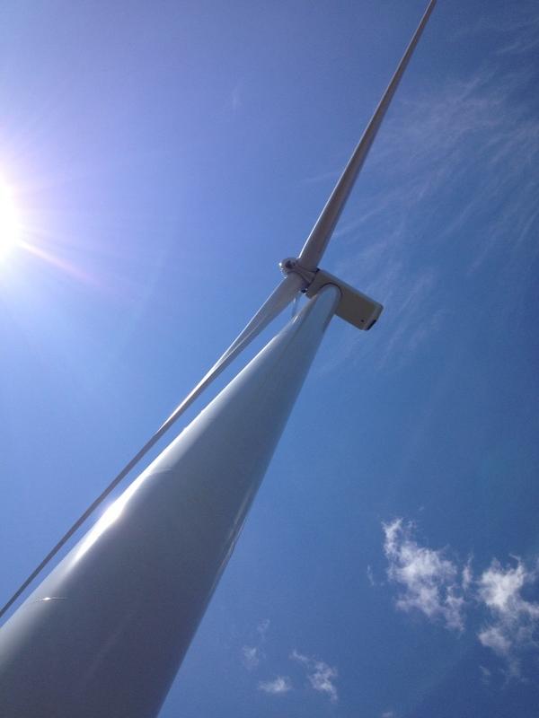 andrew_thaler's tweet photo. And this is the great #windwizard in the bright light of day :)
#bocorock's
Near #Nimmitabel http://t.co/zl8npc2jnG