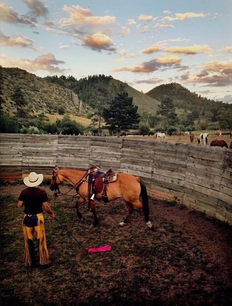 CherokeeRanch's tweet photo. We have started training our colts Gnat, Mouse, Biscuit, Squat, &amp; Pappy. Soon you will be riding them! http://t.co/byDestyPtd