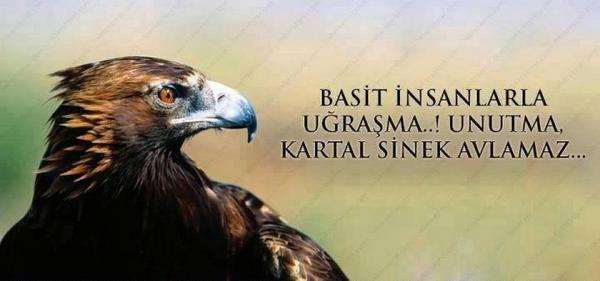 Günaydınnnnlar😄😄😄😊😊🐞💐🌺💛❤️💚 (@ Ebrunun Huzur Yaşamı) swarmapp.com/c/9QyP3f5CXMa