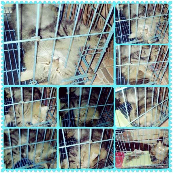 ArmanDho (@arman_dho) on Twitter photo 