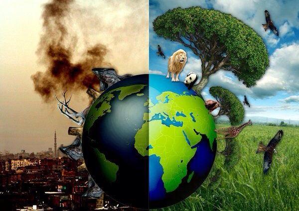 ClimateRevcynth's tweet photo. RT @Greenpeace: RT @MMNNActionUK: RT if YOU want @BBCNews 2 report that world lost 50% of its #wildlife in 40 years http://t.co/7DetQe4b2z