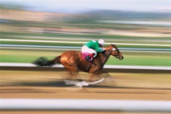 oxeatery's tweet photo. Melbourne Cup Lunch at Ox - $65pp Tues 4th Nov Book Now http://t.co/k0cvXZJ0H8