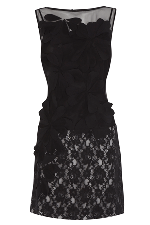 Minx's tweet photo. Create a stunning look in this lace and mesh cocktail dress from @Coast_Stores for Only £39.20 http://t.co/oSM9KlbBOC http://t.co/aUWBboHJOL