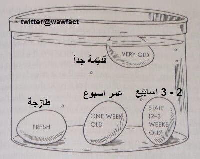 "<a href="/wawfact/">مو مهم تعرف</a>: كيف تفرق بين البيض الطازج والقديم. "