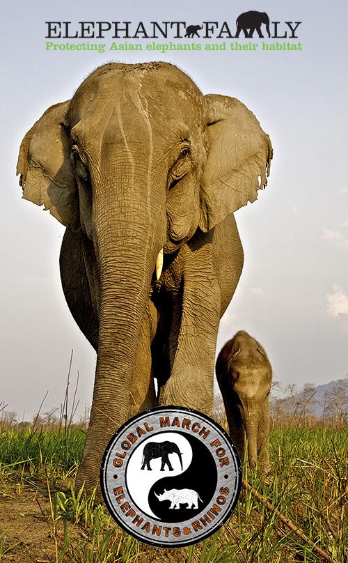 Join the Global March for Elephants and Rhinos this Saturday, help stop illegal wildlife trade march4elephantsandrhinos.org