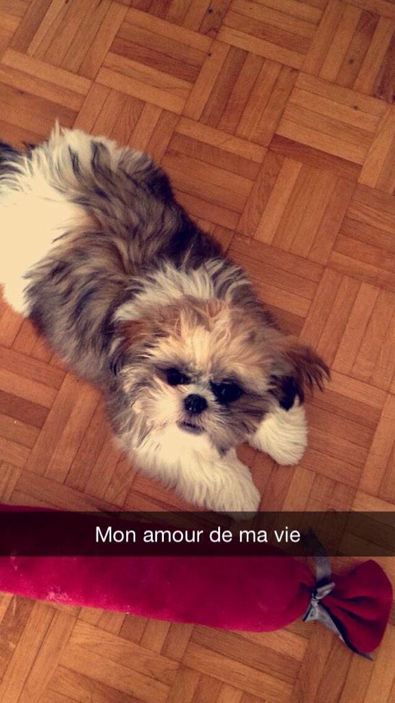 InesMusic's tweet photo. Mon amour 💙 http://t.co/2FTkGFZRwH
