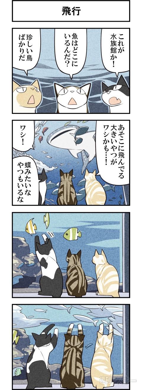ゆきひろゆき Twitter પર 猫達が水族館を初体験 週アスcomic 我々は猫である 第40回 週アスplus Http T Co Brnrzxfssj Http T Co Jkhtdmbxr0 Twitter