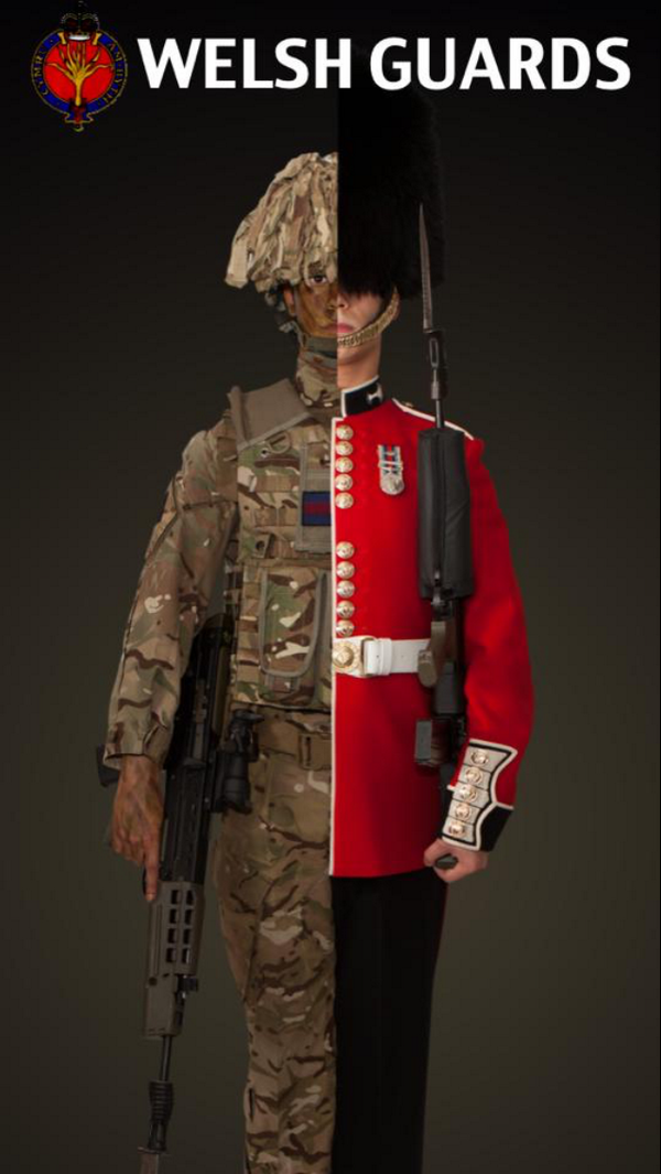 welshguardsrst's tweet photo. Get The Best Of Both Worlds! http://t.co/piPyz1sQrD
