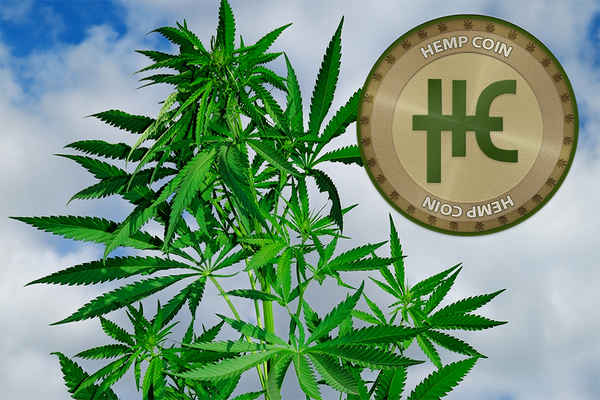 CryptoCoinShow's tweet image. The Hemp Coin = Merchant Adoption Use your Hemp coins for spa treatments in Vancouver youtube.com/watch?v=ZAZy8q…