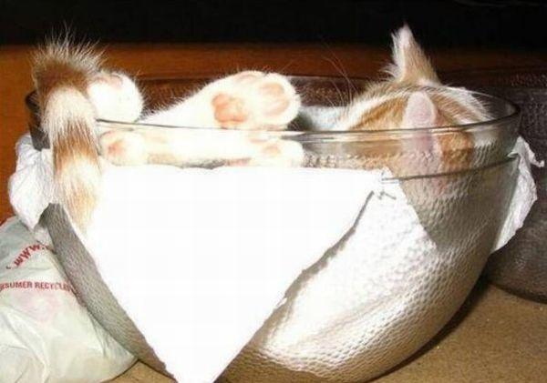 Гульжан К tweet media