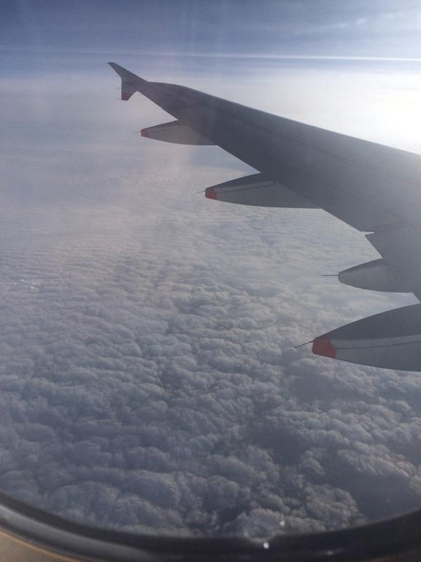 Alan_Burkitt's tweet image. #CottonWool #aaaahhh