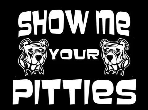 Theresa Francione (@teresafrancione) on Twitter photo 