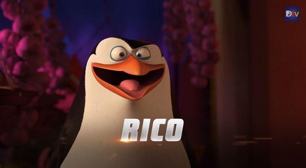 ペンギンズ映画 Dwa関連情報 ペンギンズの名前を覚えてあげてください Http T Co Yqhpon6cjw