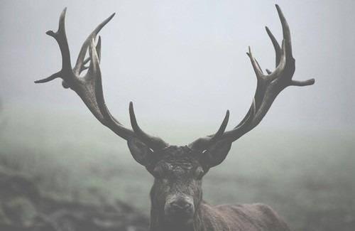 - Que descanses mi amor. 12:38

- Última conexión: 1:00