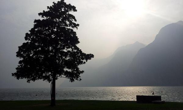 Ultima luce di settembre sul Grande lago.
@GardaTrentino <a href="/giornaleladige/">l'Adige</a> <a href="/PaolaMalcotti/">Paola Malcotti</a> <a href="/GardaOutdoors/">Garda Outdoors</a> <a href="/TurismoOggi/">Turismo e Cultura Oggi</a>