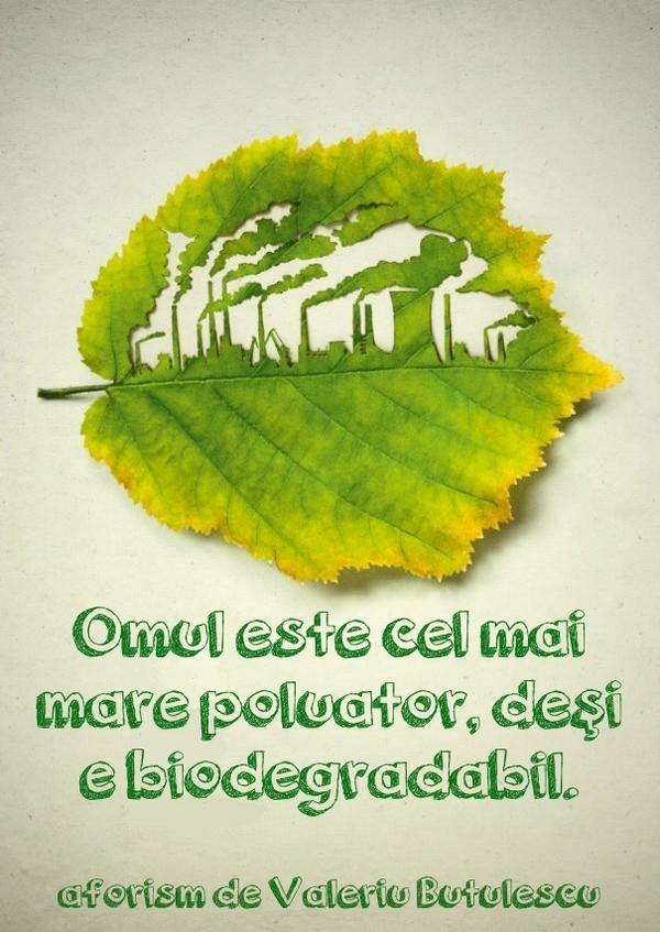 coddeschimbare's tweet photo. #quote #citat #frunza #leaf #pollution http://t.co/FwKSe7snRX