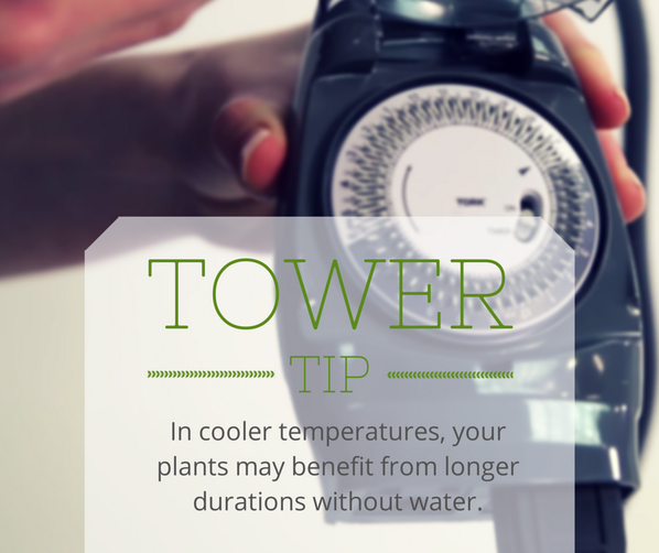 TowerGarden's tweet photo. In cool months, plants may benefit from longer durations without water. Try 15 min on / 30 min off cycles #TowerTip http://t.co/rX5juJB6On