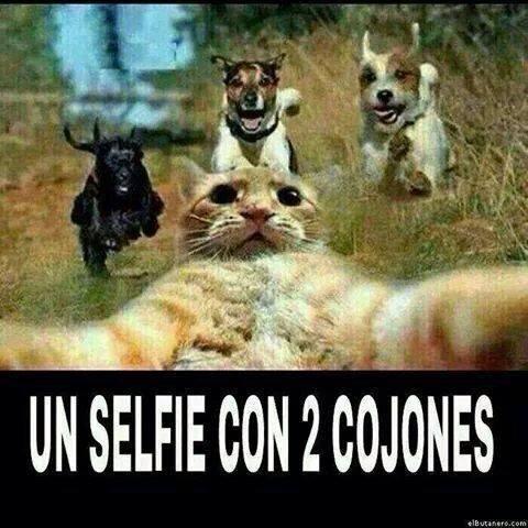 CafeLusitania's tweet photo. Este sábado a partir de las 12 de la noche mucha timba con  Dj Largo cálimocho 2E cachis cerveza a3,50E cubalitro 4E http://t.co/kVZcCILl9Z
