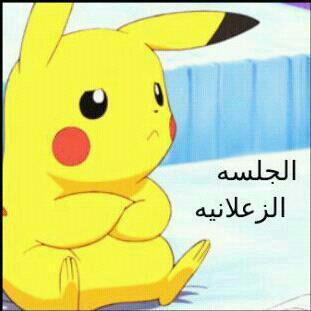 ---
--- 
 تم الإرسال بواسطة واتساب