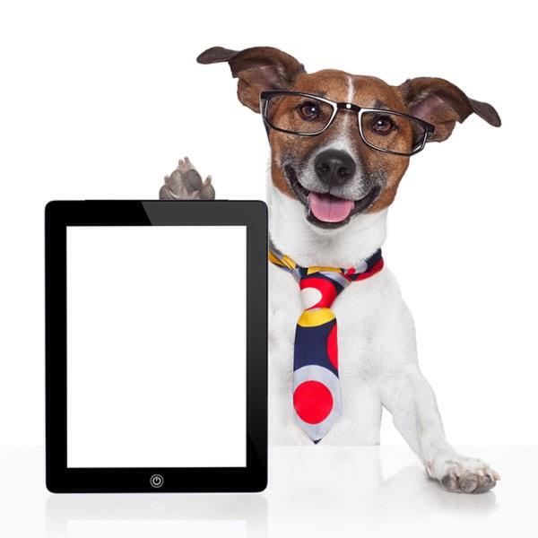 Maxmullsboss's tweet photo. In 20 years dogs be like and cats be like http://t.co/0CRS0ACG1s