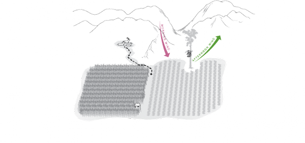 7 Elk Hunting Experts On Cutting Edge Tips and Tactics.

Tactic 3: Farm Raiding Bulls bit.ly/1te7r1U