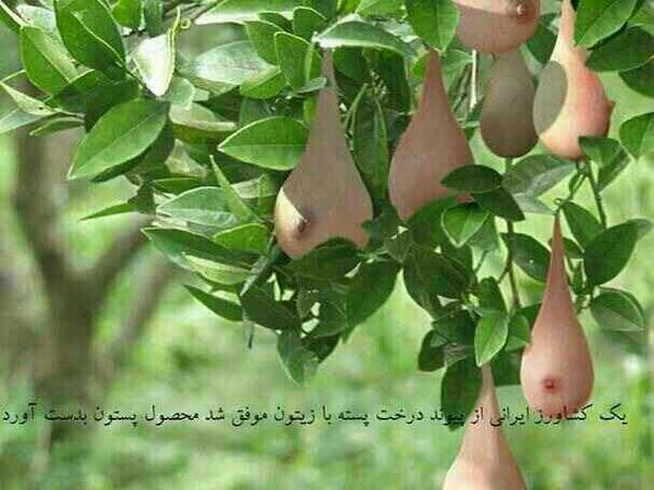 mohammad smaili (@hecktor65) on Twitter photo 