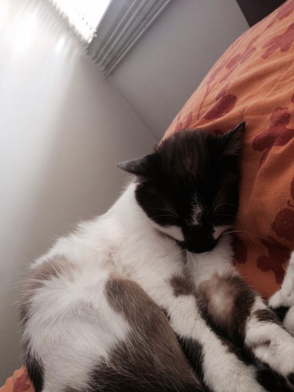 herlinda barragan tweet media