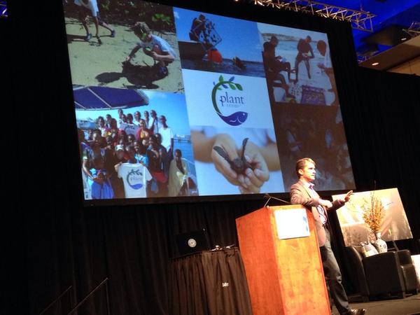 Amy Summers tweet media