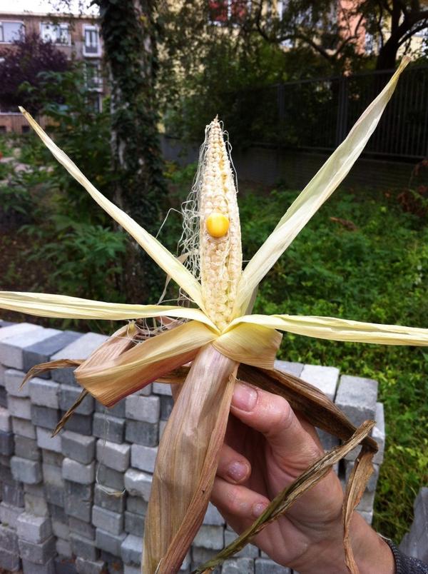 MarcusConnect tweet media