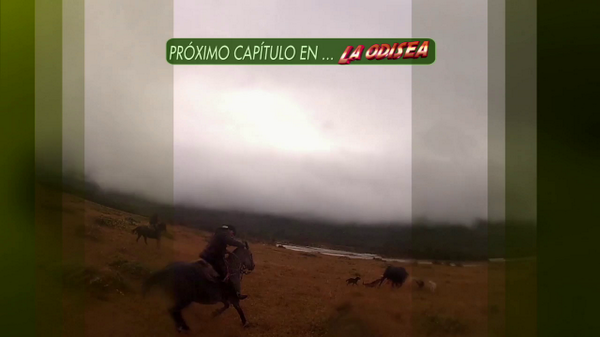 ¡Revisa el avance del último capítulo de #LaOdisea! Mañana nos despedimos de la aventura
tvn.cl/programas/laod…