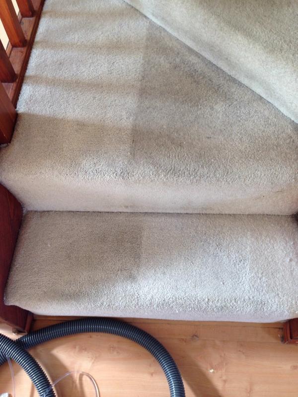 HCCleanSteam's tweet image. Carpet clean