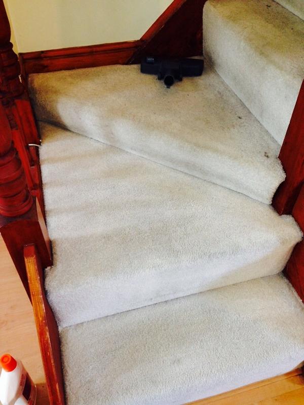 HCCleanSteam's tweet image. Carpet clean