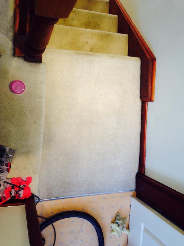 HCCleanSteam's tweet image. Carpet clean