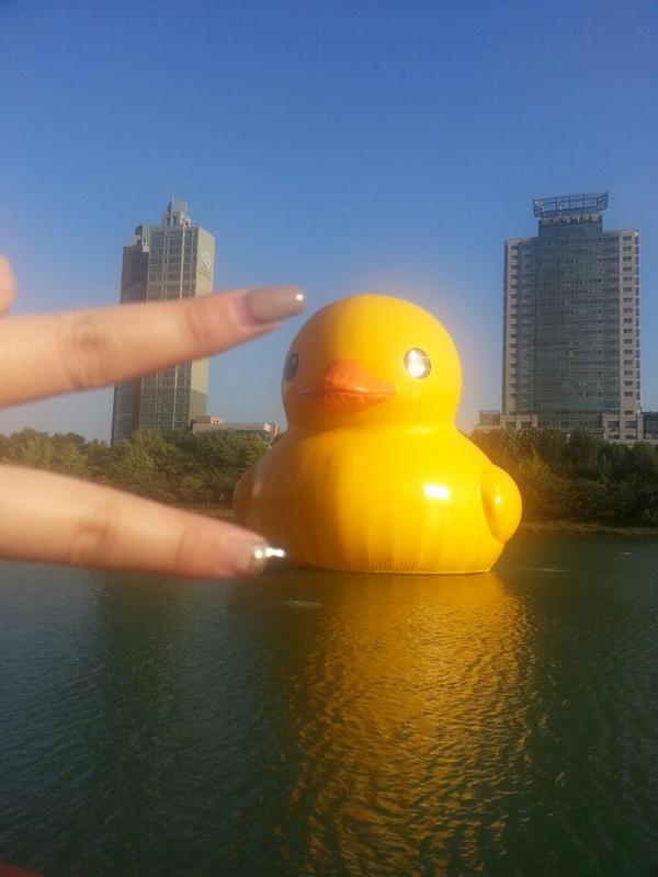 jjunyang's tweet image. 러버덕이 뭐길래... 사람들이 왕 몰려있음. 모두 카메라를 들이대고 있음. 그래서 나도 들이댔음. 차마 얼굴과 같이찍진 못하겠어. 손가락으로.. swarmapp.com/c/4J1kSqfYmQj