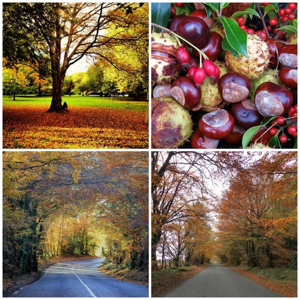 JennyMcCarthy11's tweet image. Great Autumn pics to be had at the moment!Win @IrelandAMTV3 with @berminghamcams #AMcameraclub #keepsnapping