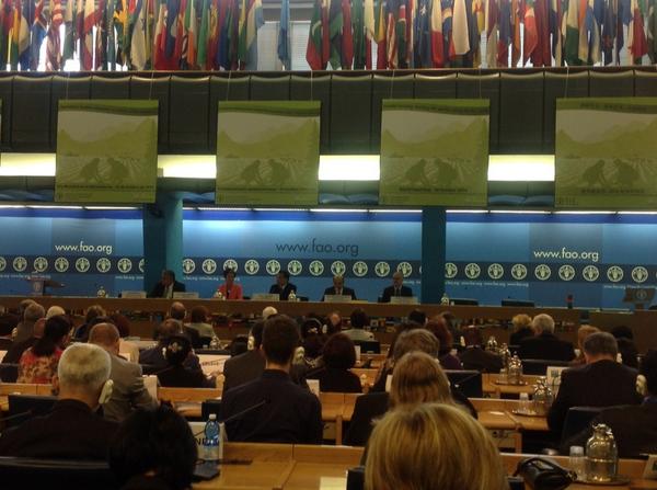 GerdaVerburg's tweet photo. This morning, CFS welcomed Prime Minister H.E. Li Keqiang for a Keynote on China's efforts towards hunger reduction. http://t.co/I8xAkql6Ob