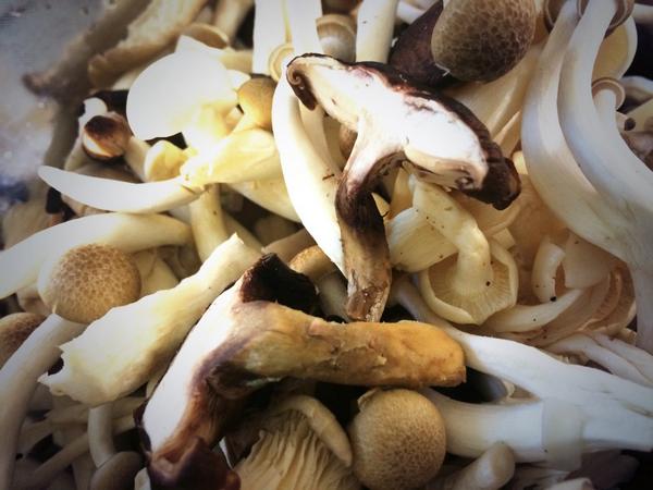 ChefDePoutine tweet media