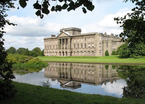 Antonella tweet media