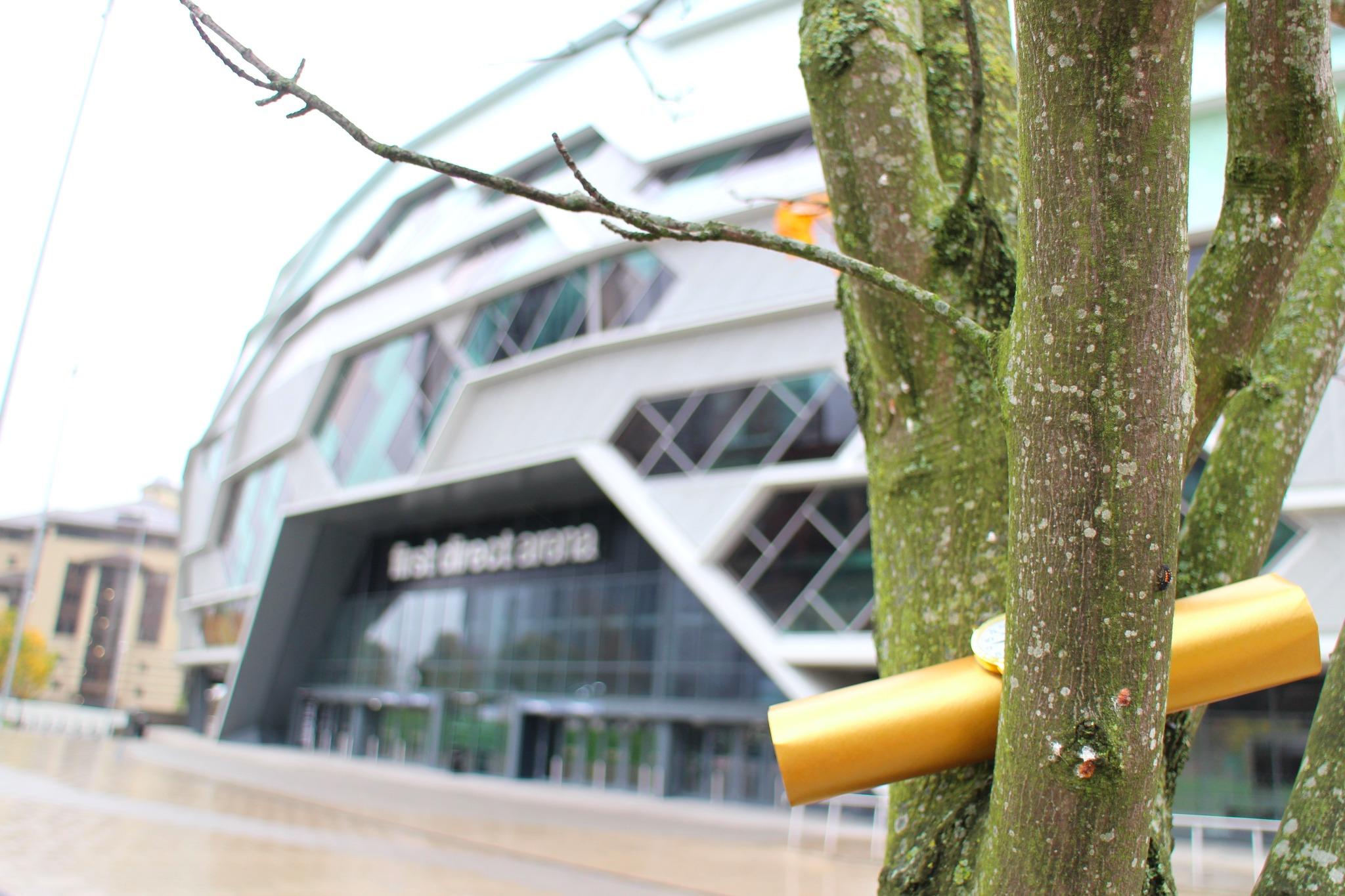 Embedded image permalink