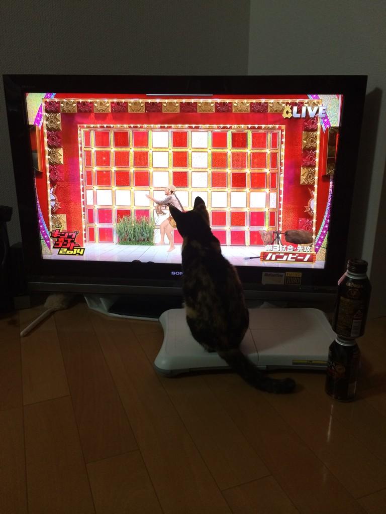 画像 キングオブコントのバンビーノの謎の踊りに反応する猫 Http T Co Cko49b6yod Matomehub まとめハブ 画像 キングオブコントのバンビーノの謎の踊りに反応する猫 Http T Co Cko49b6yod Matomehub まとめハブ