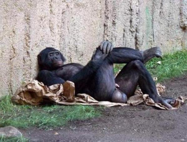 jmainer14's tweet photo. Yo un dia como hoy #PostPilares http://t.co/9BxMgQtKM9