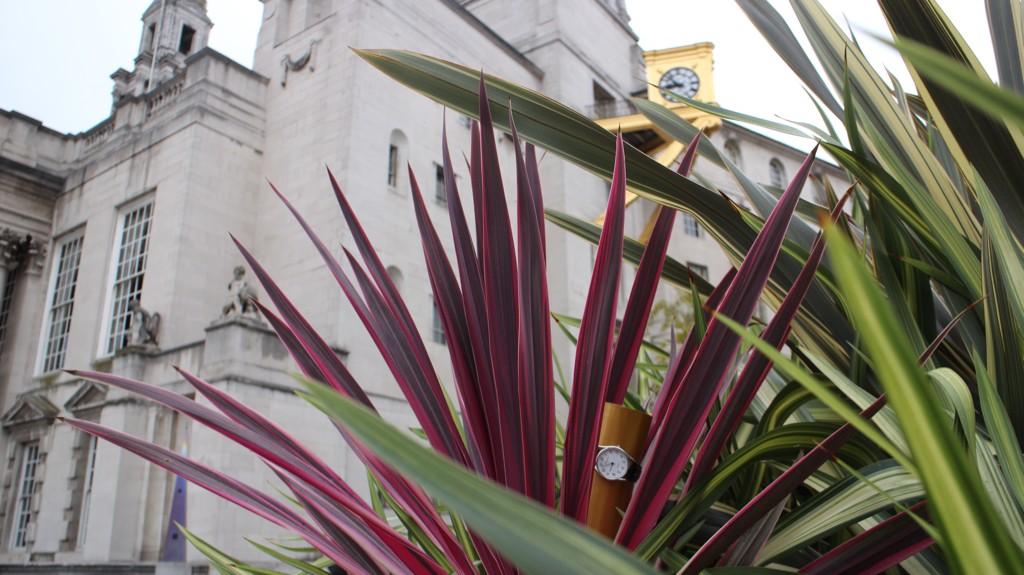 Embedded image permalink