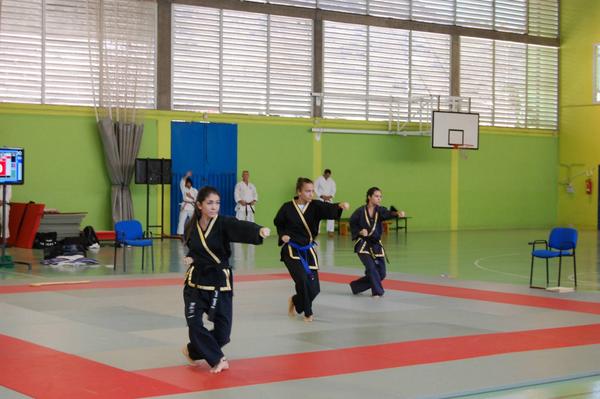 ACAM2020's tweet image. 1º Campeonato de Taekwondo Moo Duk Kwan y Hapkido La Aldea 2014