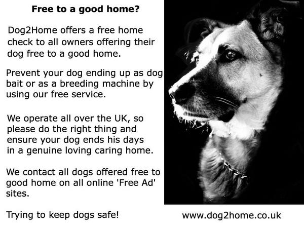 Dog2HomeUK's tweet photo. http://t.co/aSQuYD1ZK6   gives free home checks to all free to good home dogs nationwide. Trying to protect dogs. http://t.co/Sj6lELDHff