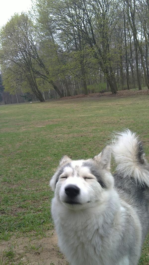 miIasuperstar's tweet photo. ĥab noch ein altes Bild von mir gefunden das ihr kennen solltet http://t.co/bAnyWPeVhD