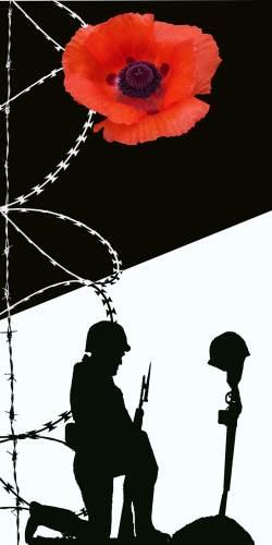 This weeks complimentary image is for remembrance Sunday.   bit.ly/ZARZWe