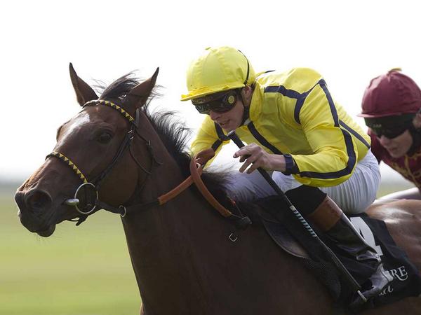 RacingPost's tweet photo. Rizeena ruled out of Queen Elizabeth II Stakes... http://t.co/J8VVeahhSa http://t.co/OEBBKXMSLU