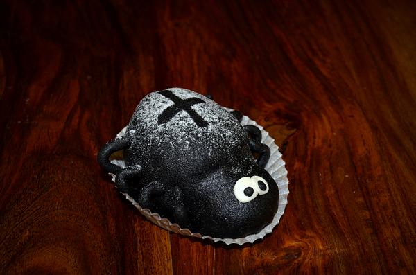 Ebony kusipää Galleria