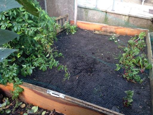 treesnottrash's tweet photo. what's gonna grow in there? that's right, @Summerhallery winter veggie seeds are in! To Kale! And mustard greens! http://t.co/7dqdrsMSgB